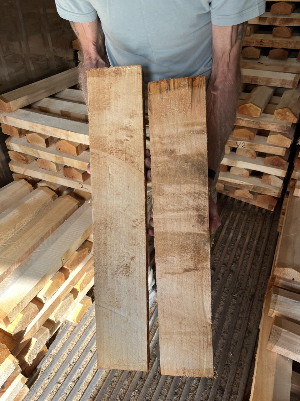 Comparing clefts