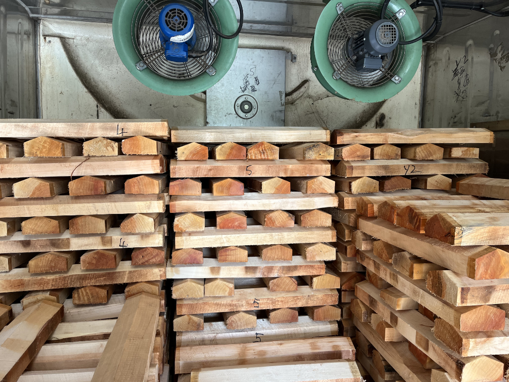 Clefts in the dry room