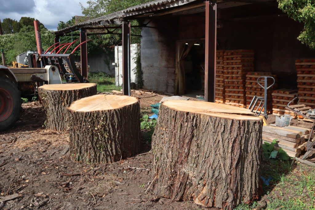 Three willow rounds